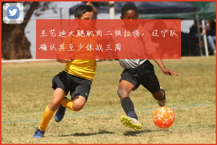 王艺迪大腿肌肉二级拉伤，辽宁队确认其至少休战三周