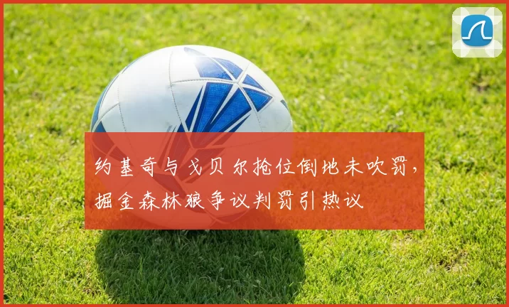 约基奇与戈贝尔抢位倒地未吹罚，掘金森林狼争议判罚引热议
